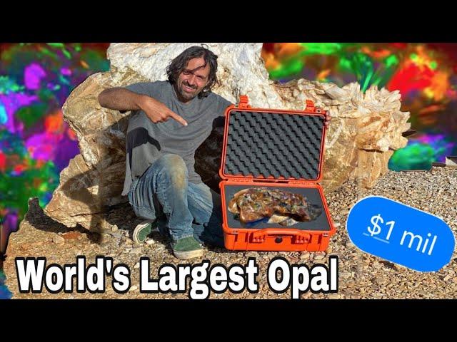 $1 Million Dollar Opal | Largest in the World!