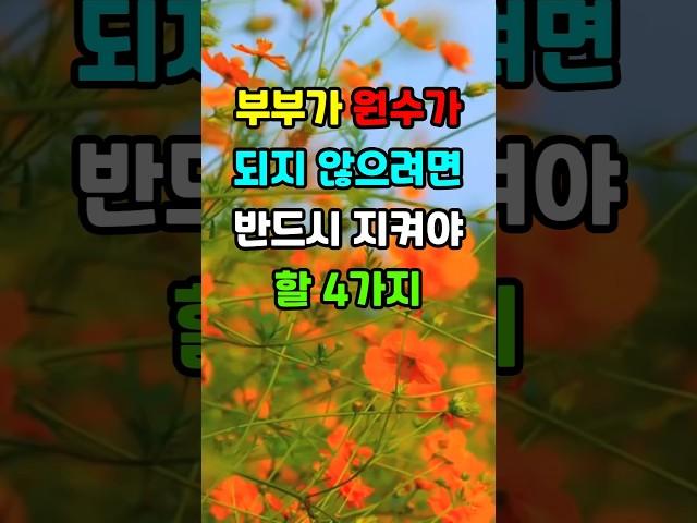 부부가 원수가 되지 않으려면 반드시 지켜야 할 4가지 #노후지혜 #인생조언 #명언 #좋은글 #부부관계