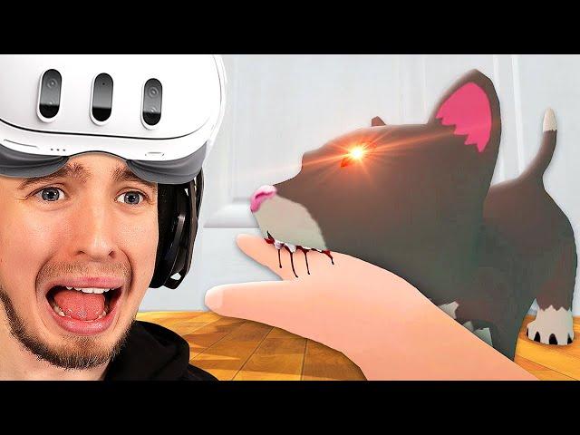 Baby Gets BITTEN by Evil Cat - Baby Hands VR