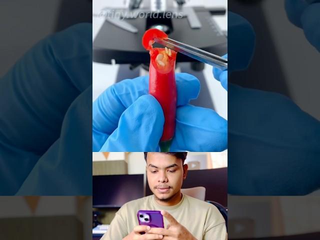 Amazing facts video #facts