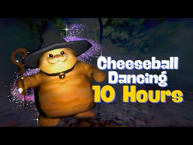 Cheeseball the Wizard Cat Dancing 10 Hours