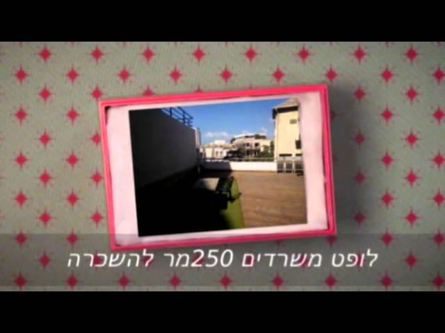 משרדים להשכרה בתל אביב לופט 250 מר ברוטשילד | סטאטוס יועצי נדלן