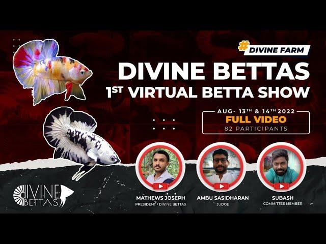 Virtual BETTA SHOW India | Full Video | Participants/Winners | Divine Bettas - Betta Castle