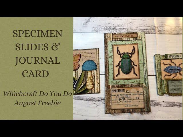 Specimen Slides & Journal Cards - Whichcraft Do You Do August Freebie