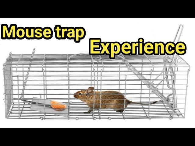 Easy Mouse trap| DIY Mouse trap| Rat trap Homemade|How to make MOUSETRAP ‎@hinafamilyvlogs5377