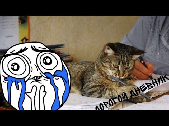 откуда мем-ДОРОГОЙ ДНЕВНИК МНЕ НЕ ОПИСАТЬ ТУ БОЛЬ И УНИЖЕНИЕ