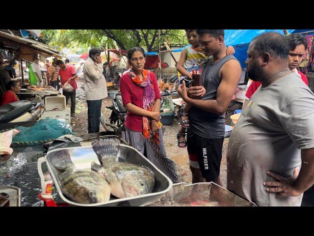 Bahadur Fish Centre | Live Fish | Rohu | Katla | Tilapiya | Kalyan Fish Market