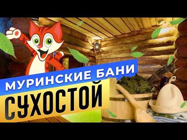 Муринские Бани «Сухостой» | БАНИ.РФ