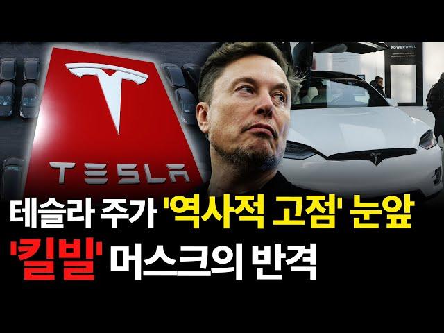 "기술에 집중할 것" 머스크의 반격? 테슬라 주가 어디까지 갈까 / 강정수 블루닷 AI 연구센터장