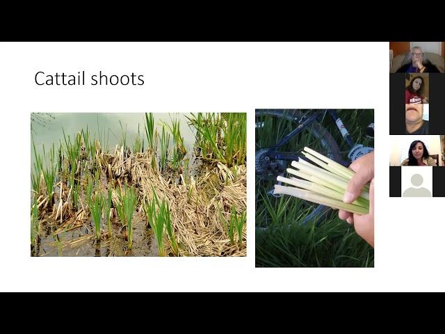 Cattail Workshop with Linda Black Elk