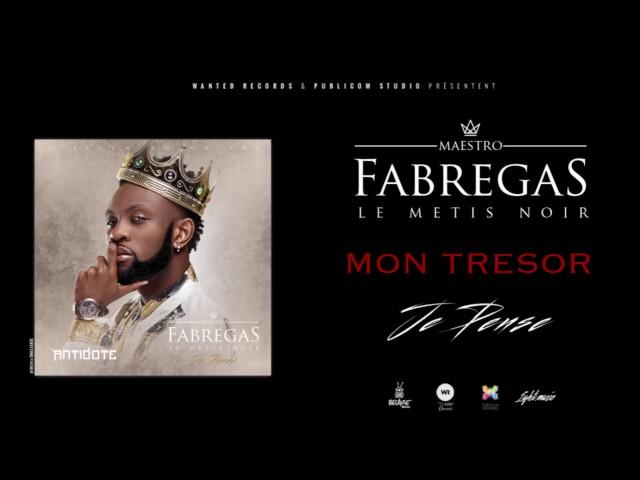 Fabrégas le Métis Noir - Mon Trésor ( Audio )