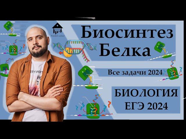 БИОСИНТЕЗ БЕЛКА. 27 задание ДЛЯ ЕГЭ 2024 |ЕГЭ БИОЛОГИЯ|Freedom|