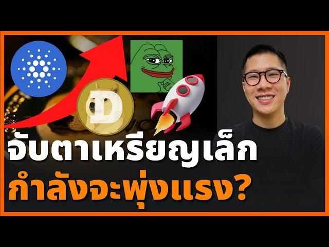 กลิ่นกาวหอมฟุ้ง! Altcoin Season พึ่งเริ่ม โอกาสรวยยังไม่สาย X พี่เข้ม Crypto Dog