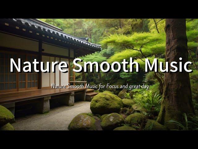 Best Morning Relaxing BGM Music, Soft and Calming for Study, Sleep Best BGM Piano Music, Zen Music