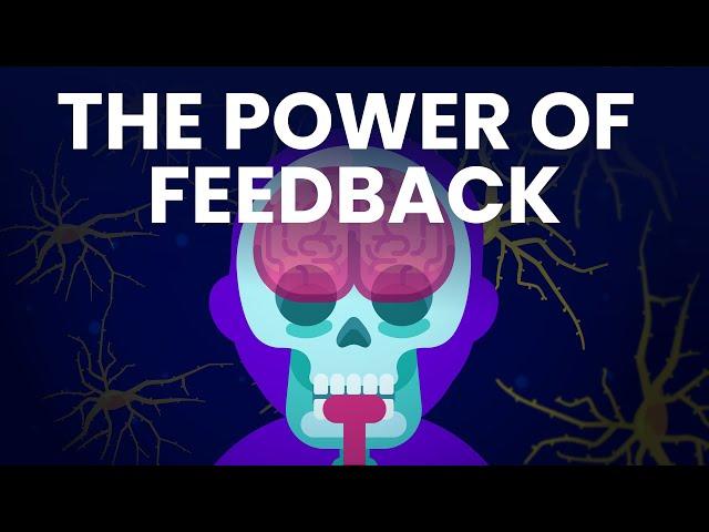 How Feedback Loops Control Everything Around You!