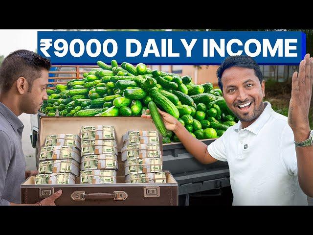 100 दिन में 9 LAKH कमाने का मौकाCucumber Farming | ककड़ी उगाओ, लाखों में कमाओ | Indian Farmer