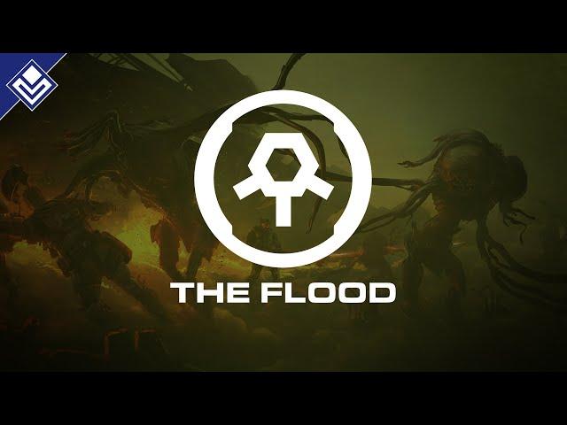 The Flood | Halo