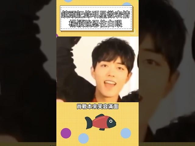 鏡頭記錄明星微表情，楊穎強忍住白眼#明星 #娛樂 #shorts