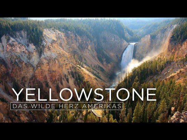 Yellowstone Nationalpark - Das wilde Herz Amerikas (TV-Dokumentation)