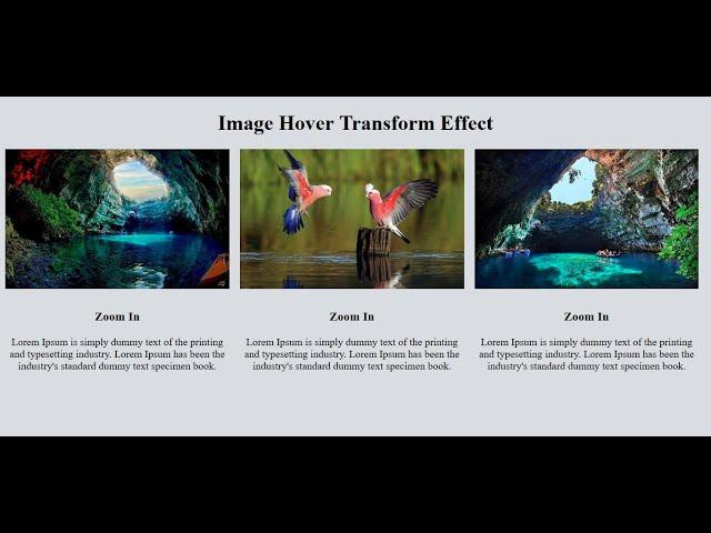 Image Hover Zoom In Transform Effect Using Only HTML & CSS - SFC