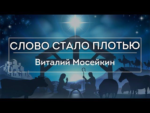 Виталий Мосейкин : "Слово стало плотью." | г.Доброполье 26.12.21