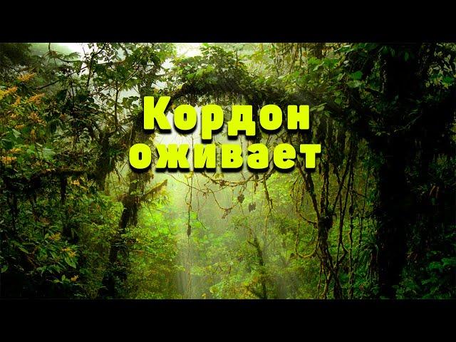 Приборка на кордоне. Собрали урожай