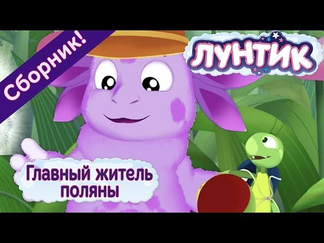 Лунтик - Главный житель поляны. Сборник мультиков
