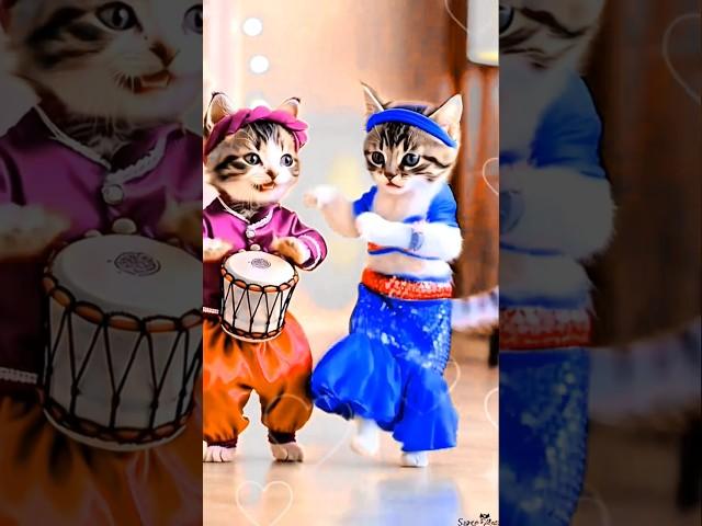 #bollywood #newsong #music #cat #bubududuanimation #catvideos #funny #peachgomacutelove #song