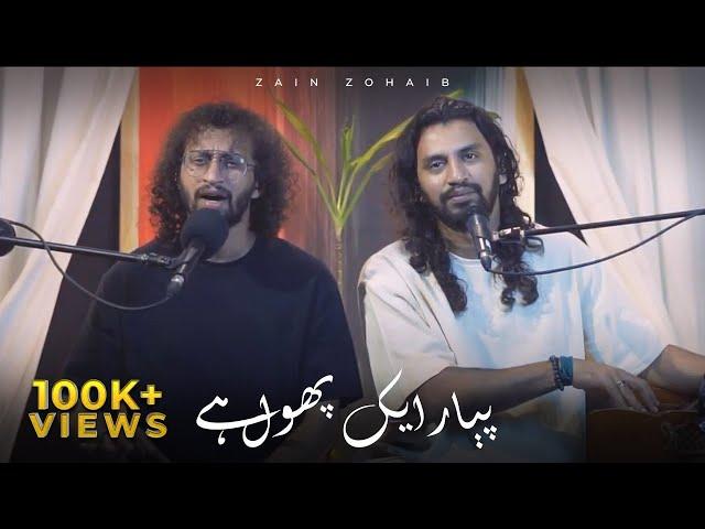 Pyar Ik Phool Hai | Zain Zohaib | Nusrat Fateh Ali Khan
