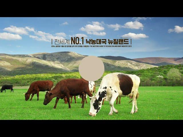 대상 마이밀 프로틴 블랙 인포