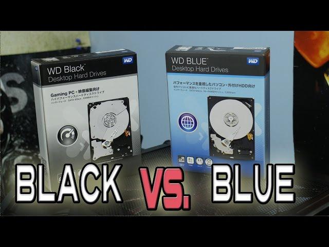 WD Blue Vs Black - Is there any difference? (1TB 10EZEX Vs 1TB 1003FZEX)