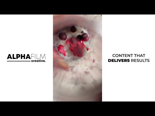 Alpha Film Creative: Optimum Nutrition Smoothie Creation // Kate Osman