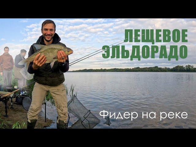 RIVER BREAM BENDING THE FEEDER IN AN ARC  / Feeder Fishing on the River / Fishing on the Vistula