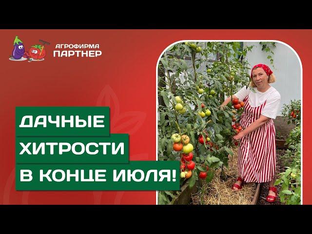 УРОЖАЙ В КОНЦЕ ИЮЛЯ: РЕЗУЛЬТАТЫ И ПРАКТИЧЕСКИЕ СОВЕТЫ ОТ МАРИНЫ РЫКАЛИНОЙ