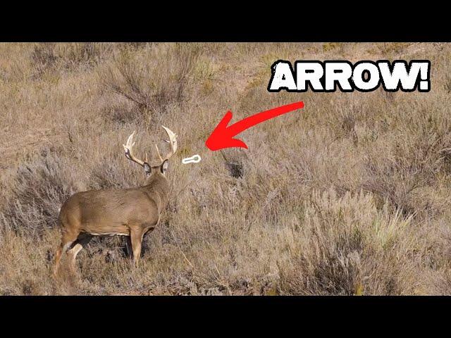 18 pt Buck Public Land Bow Hunting from the Ground | EPIC!!