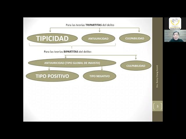 ACCIÓN Y TIPICIDAD - DRA ROMY CHANG