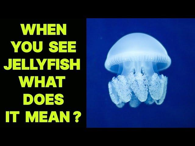 WHEN YOU SEE A JELLYFISH WHAT DOES IT MEAN ?