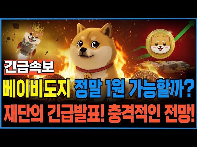 [베이비도지] 1원 현실적으로 가능할까? "충격 그자체" #베이비도지코인