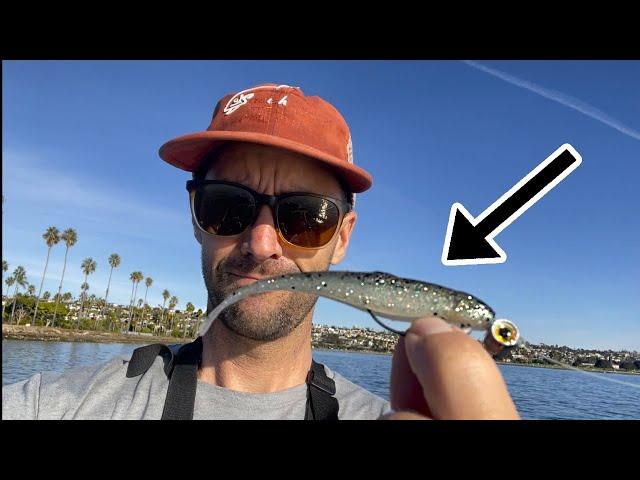 Easy Fishing: Mission Bay non stop action.