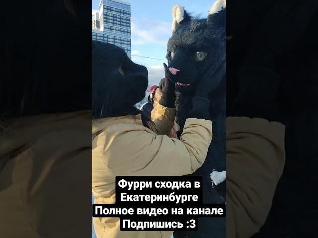 фурри сходка в Екатеринбурге #shorts #short #фурри