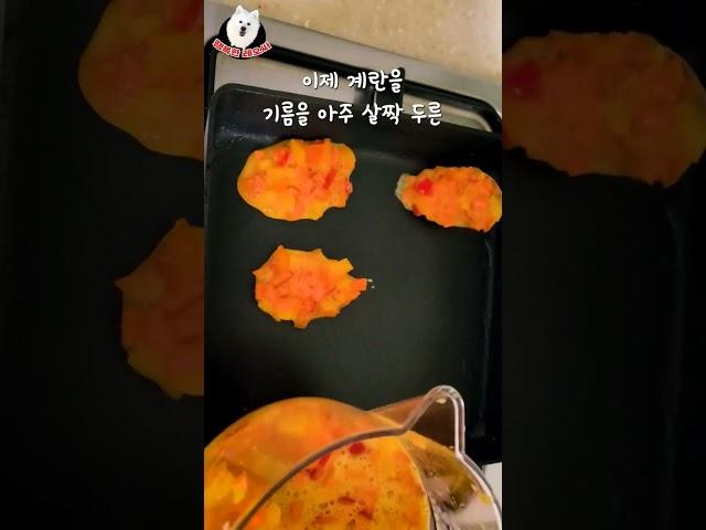 설날 전은 강아지도 못참지