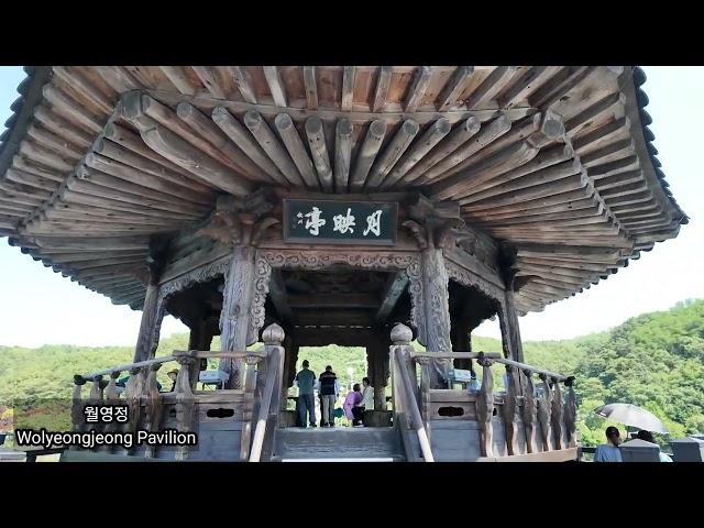 (4K)안동에서 가봐야 할 월영교와 만휴정 원림(Wolyeonggyo Bridge and Manhuejeong Wonlim in Andong)