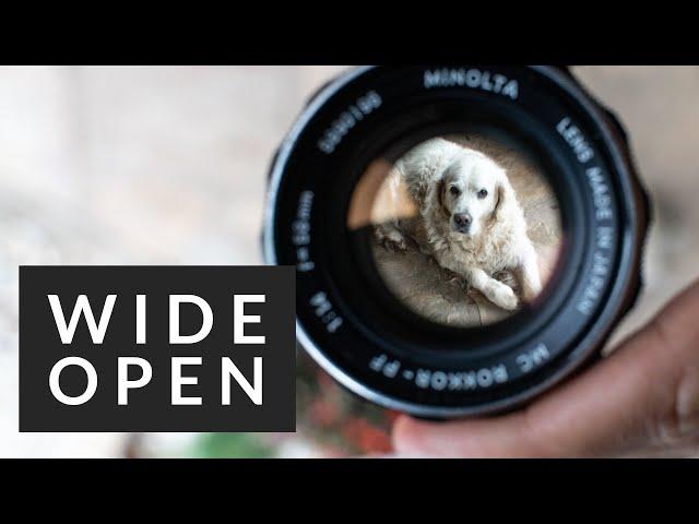 Why I shoot all my photography wide open