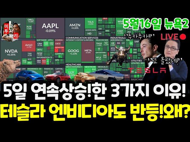 미국주식시황/5일 연속 상승한 3가지 이유! 테슬라 엔비디아 구글 애플 아마존 메타 마이크로소프트 팔란티어 아이온큐 리게티 브로드컴 SMCI LLY UNH $tsla #tesla