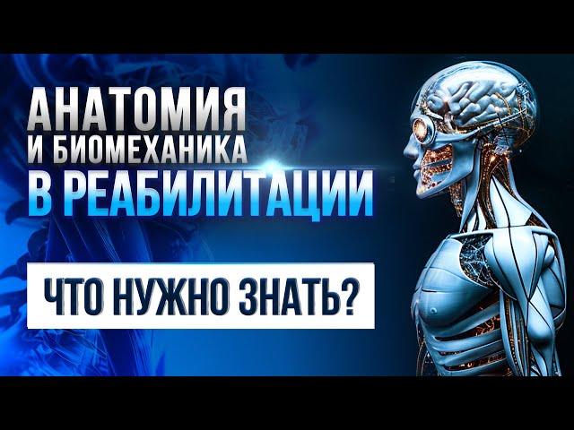 3 кита реабилитации: биомеханика, онтогенез и функциональная анатомия. Онлайн-экскурсия. Часть 2