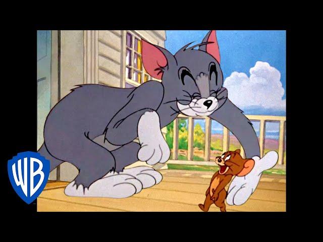 Tom & Jerry | Oh My Buddy! | Classic Cartoon Compilation | WB Kids