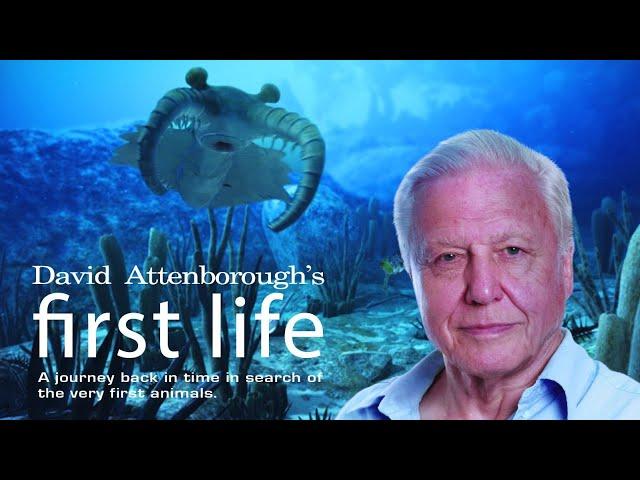 First Life with David Attenborough - Ep 2 Conquest (2010)