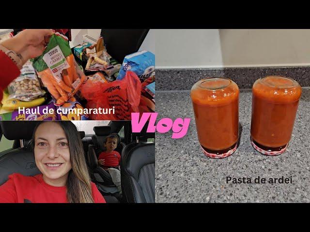 Vlog | Cumpărături săptămânale & Pasta de ardei la borcan