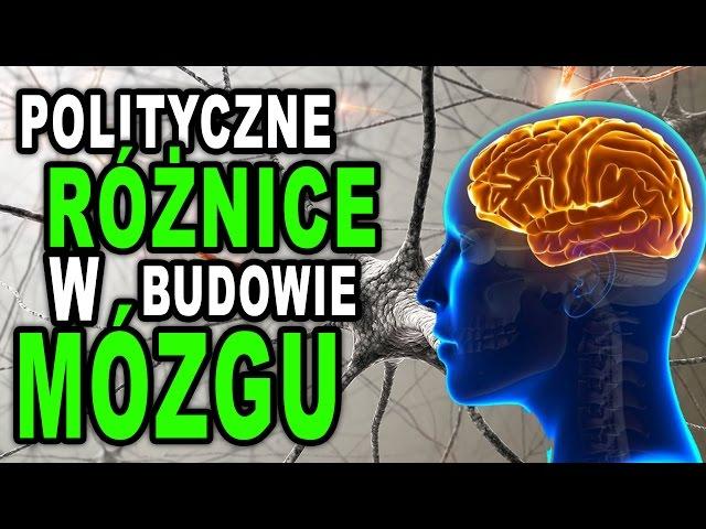 Polityczne różnice w budowie mózgu | myMind #9 ( Kamil Cebulski )