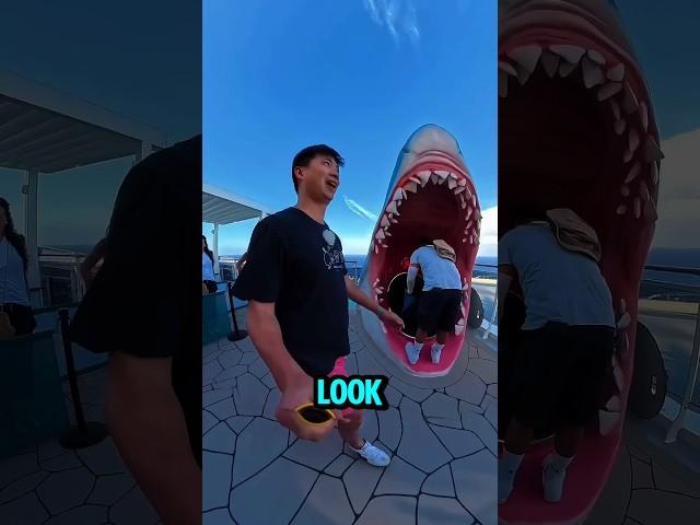 Japan Trip Turns Wild as Guy Slides Down a Huge Dragon Slide